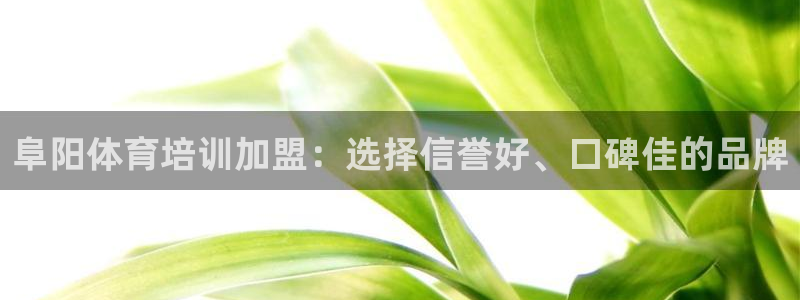 富联娱乐登录注册入口官网网址查询